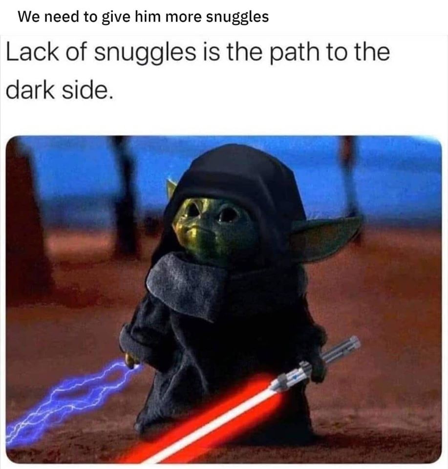 This meme is a play on the famous line "I find your lack of faith disturbing" from the movie Star Wars. It features a picture of Yoda, a character from the Star Wars franchise, but instead of saying "I find your lack of faith disturbing", he says "I find your lack of snacks disturbing". The image is meant to be humorous, implying that Yoda is more concerned about not having snacks than about the lack of faith in others.